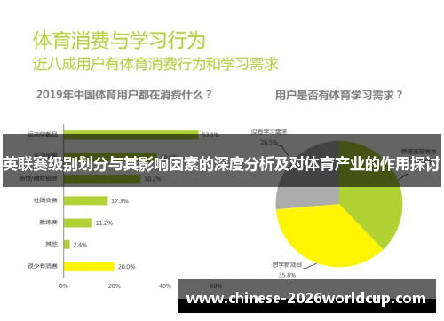 英联赛级别划分与其影响因素的深度分析及对体育产业的作用探讨